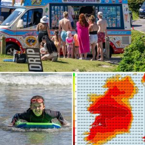 TOTAL MELTDOWN – News