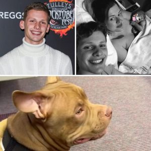HORRIFYING ATTACK – News