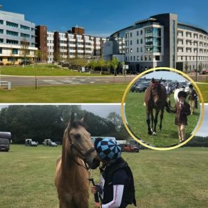 Child hospitalised after horror horse attack iп Limerick